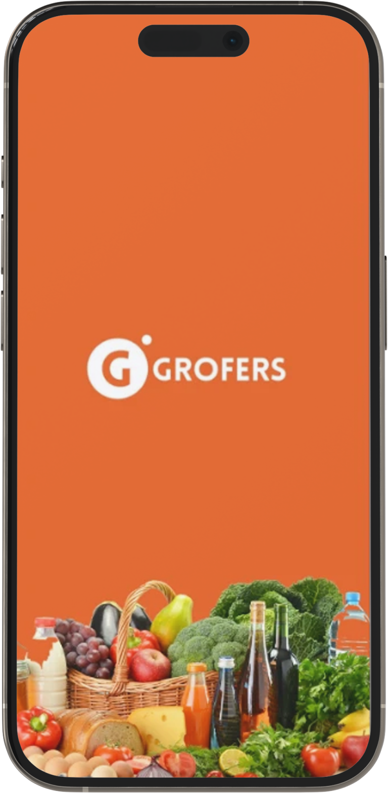 Grofers (1)